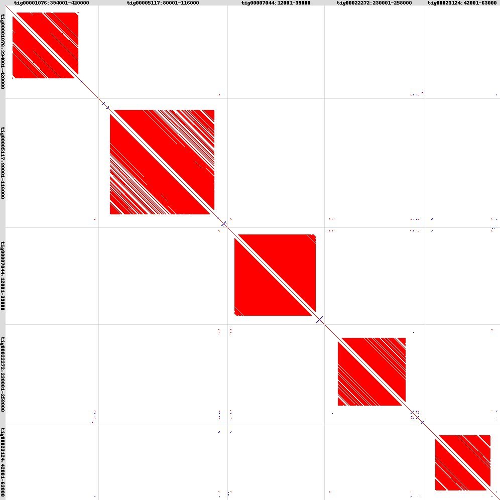 Nippo most-compressible regions